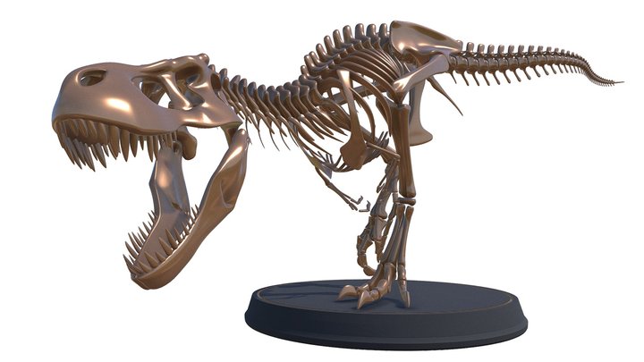 Tyrannosaurus Skeleton 3D Model