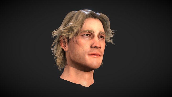 Heath Ledger Likeness Study 3D Model