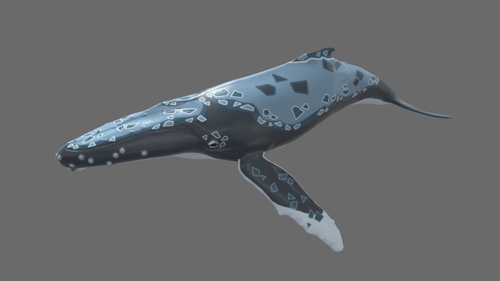 Azure Whale – Modello 3D gratuito STL