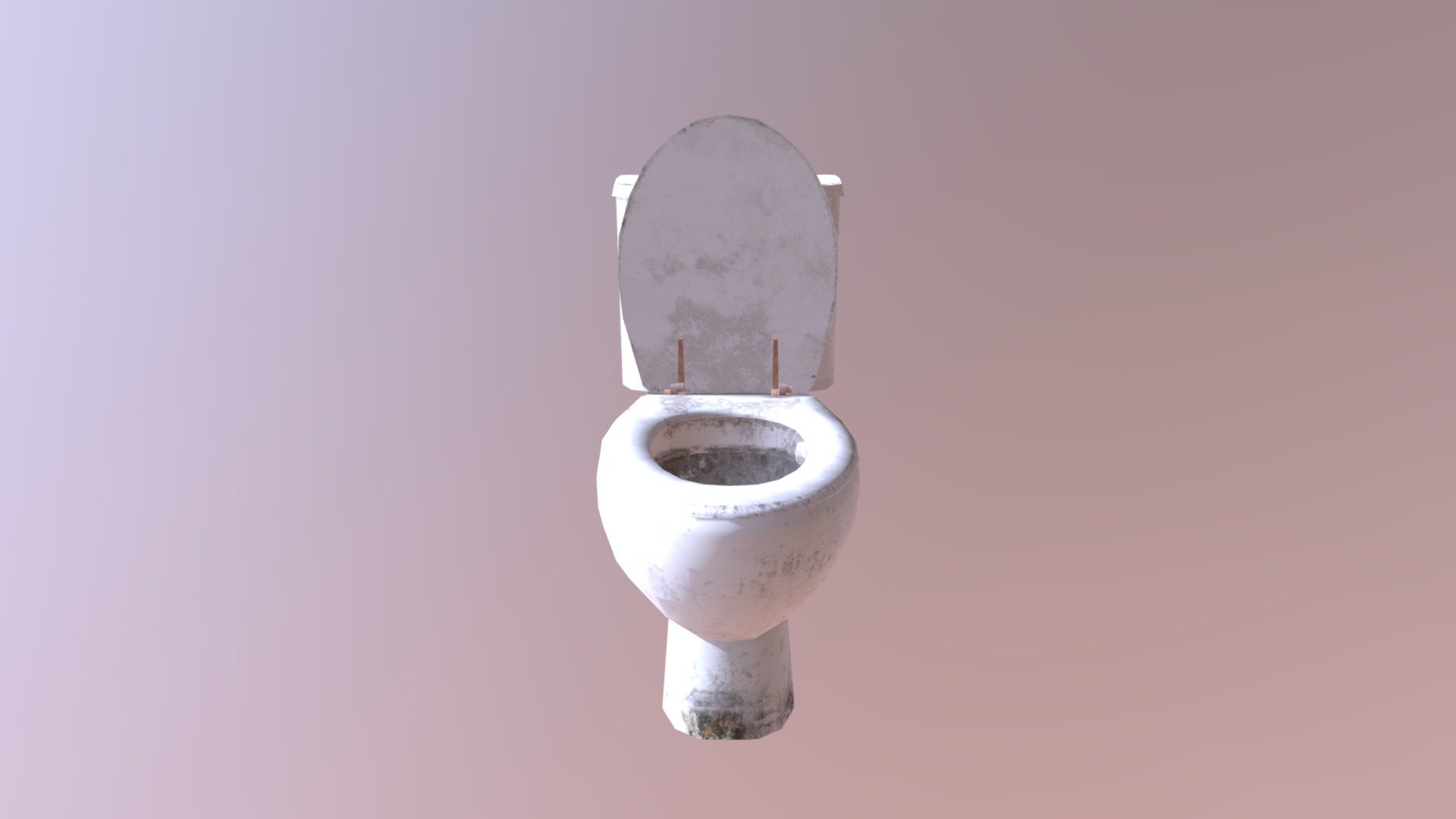 Toilet Standard