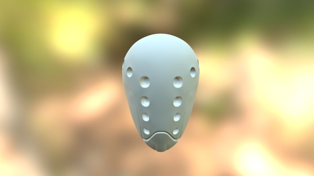 Helmet #1