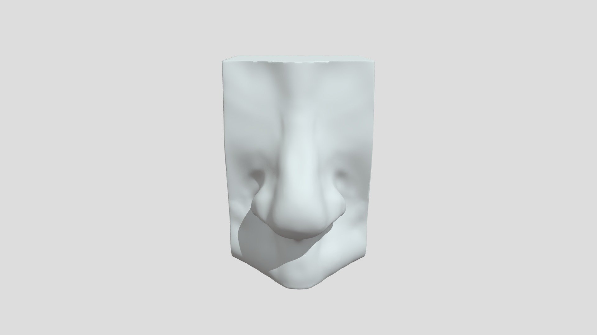 Nose FBX