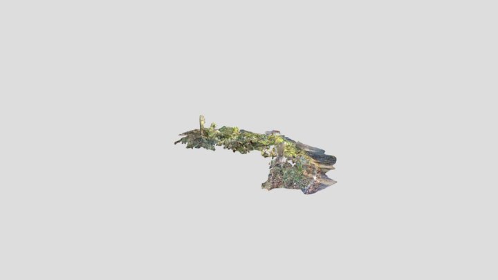 Hampton Court, Pond, Corner,Askham Bryan College 3D Model