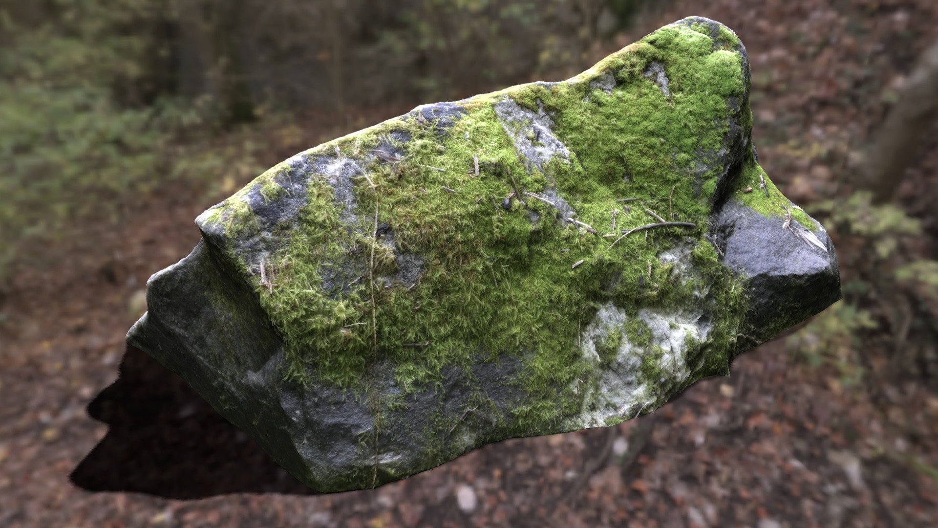 N081i Mossy Rock