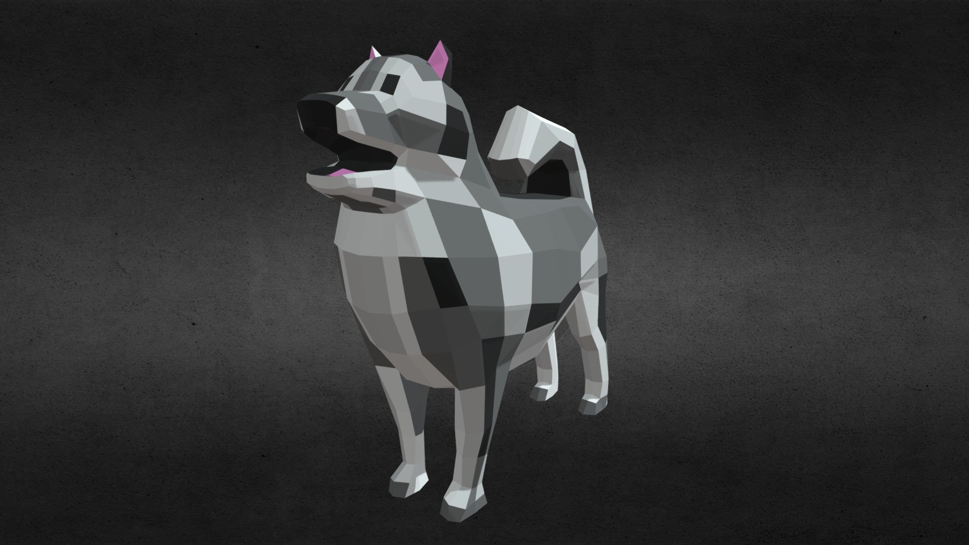 Malamute Adult