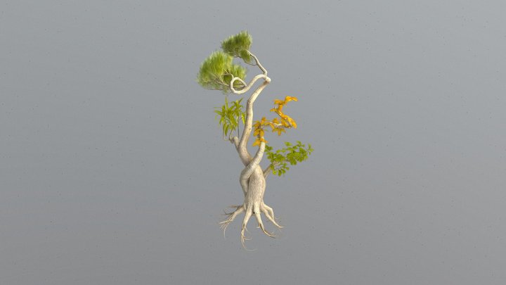 tree 3D Model