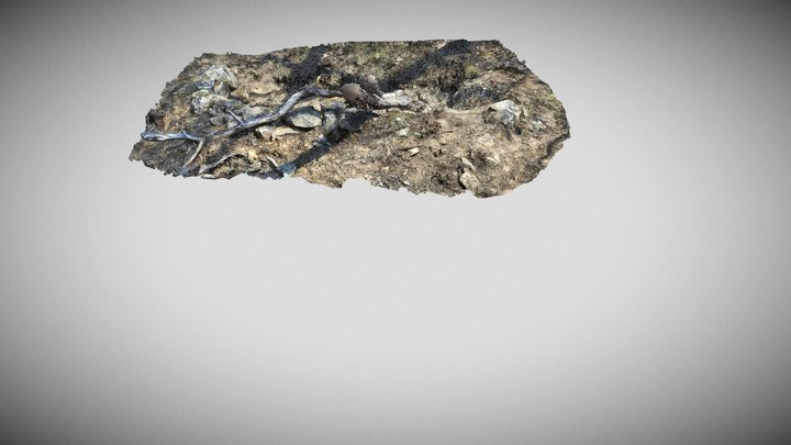 AR01 Sketchfab 3D Model