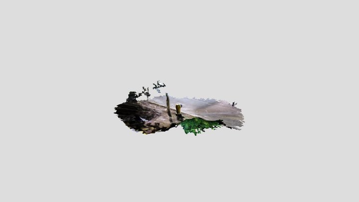 scan_test 3D Model