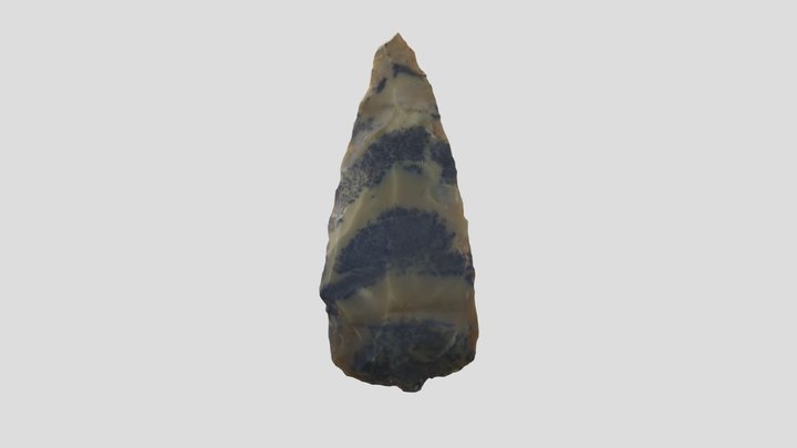End Scraper, CK302-540 3D Model