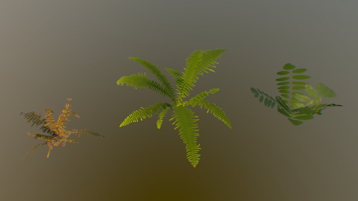 Plants 3D Model