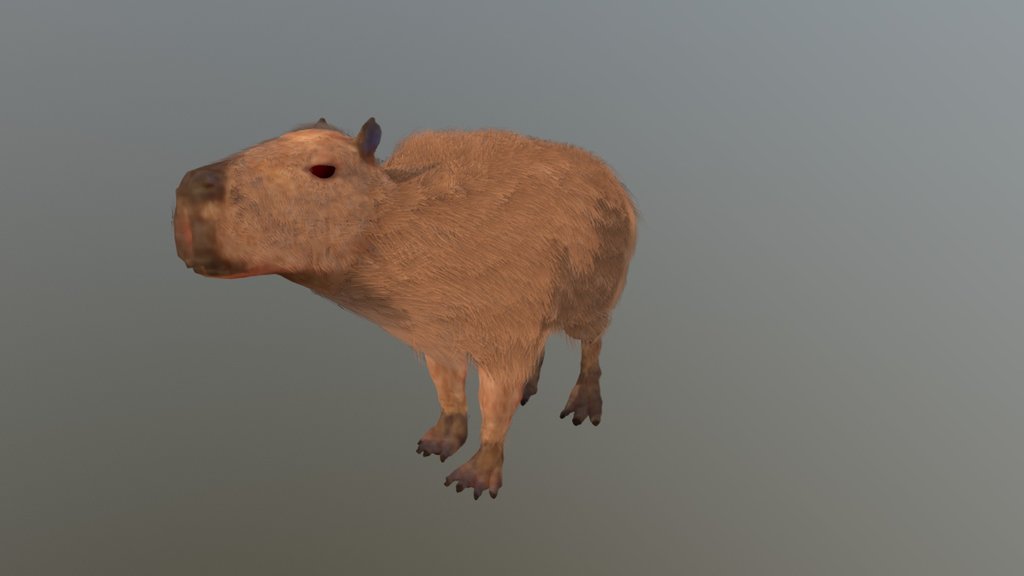 Capybara