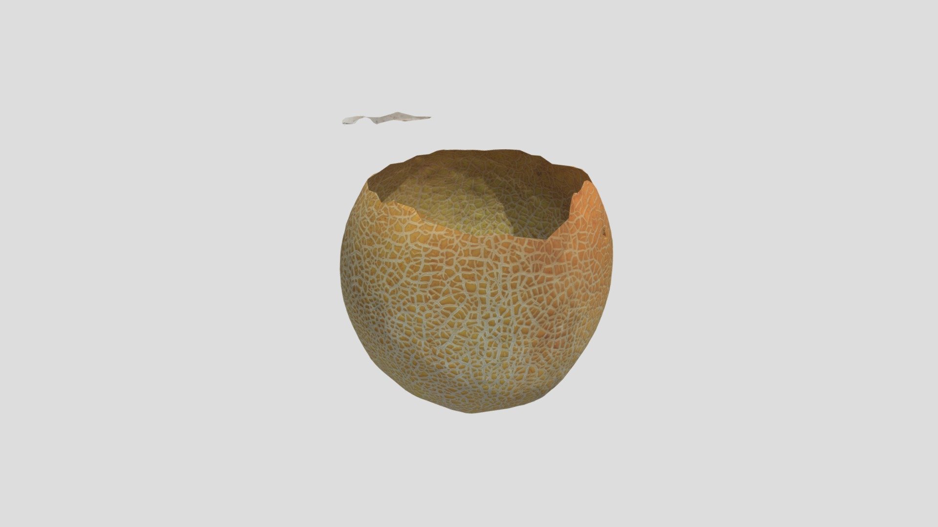 aa_melon.zip