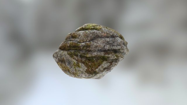 Mossy Rock 3D Model