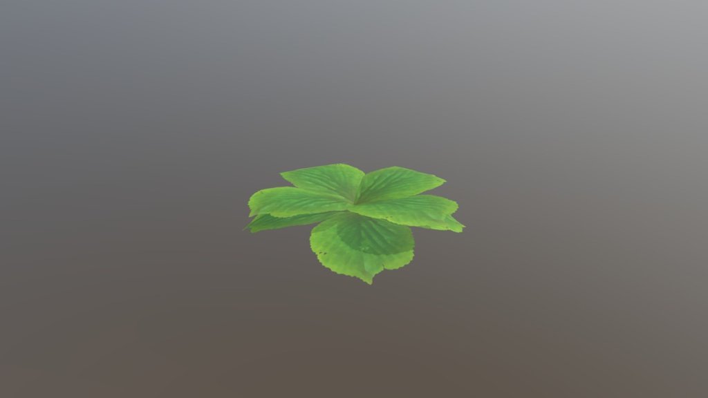 Bush Idle I1 (Second Upload)