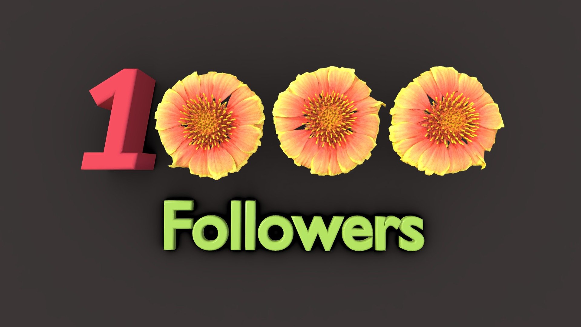 Firewheel flower / 1000 Followers