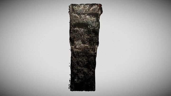 P29 E1 3D Model