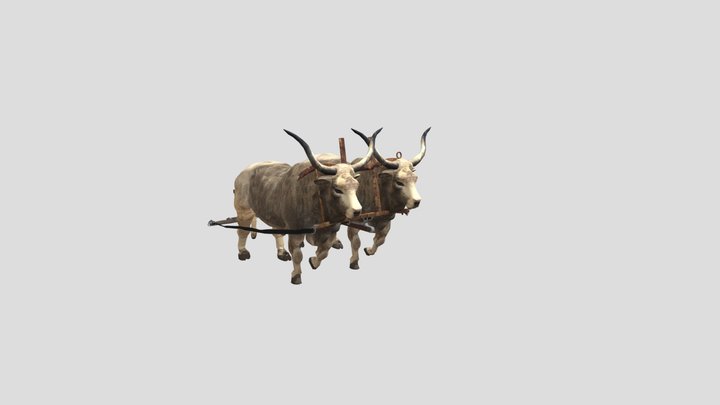 Double Ox walk 3D Model