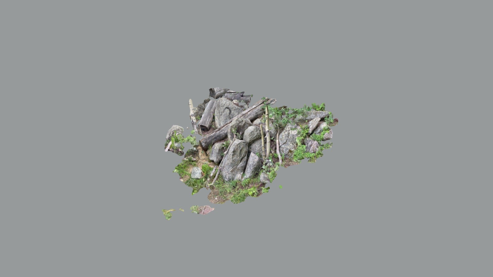 Boulders and Fallen Trees  (Quick Scaniverse)