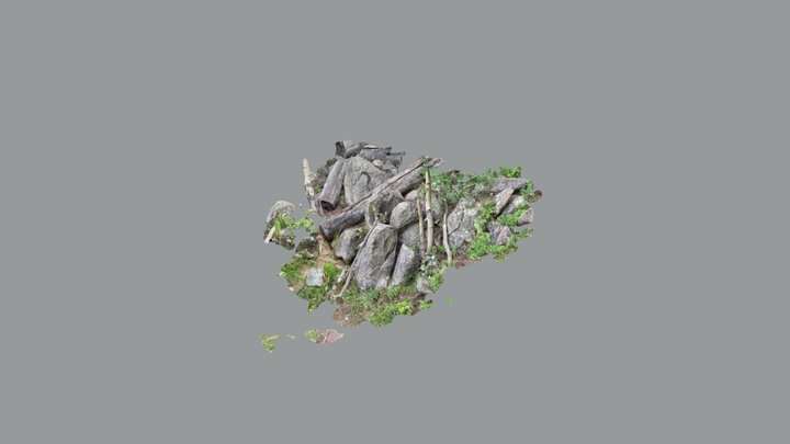 Boulders and Fallen Trees  (Quick Scaniverse) 3D Model