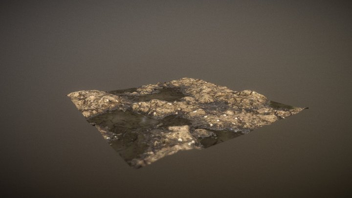 Muddy Ground covered in twigs & puddles OBJ,PBR – Modello 3D gratuito STL