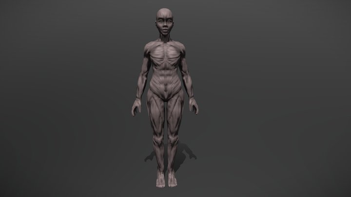 Tarea1 Modelado 3D Model