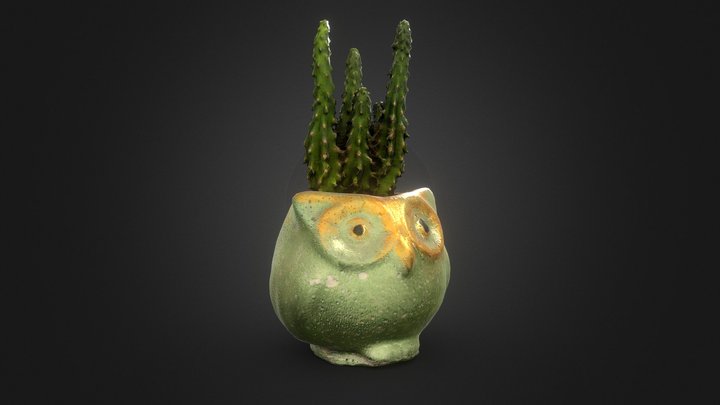 Cactus 3D Model