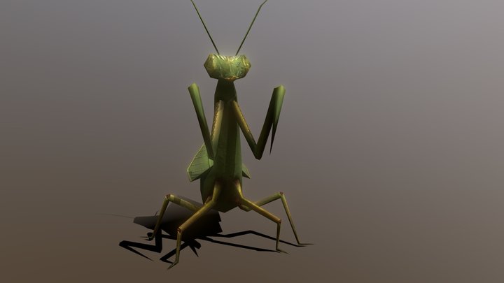 Low Detailed Mantis