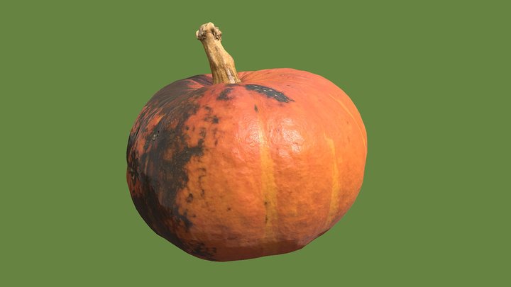 Pumpkin rotten. 3D Scan 3D Model