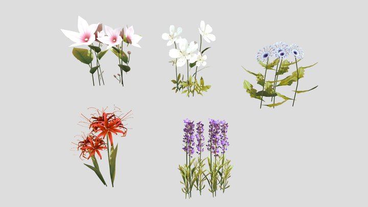 Handpainted flower set1 3D Model