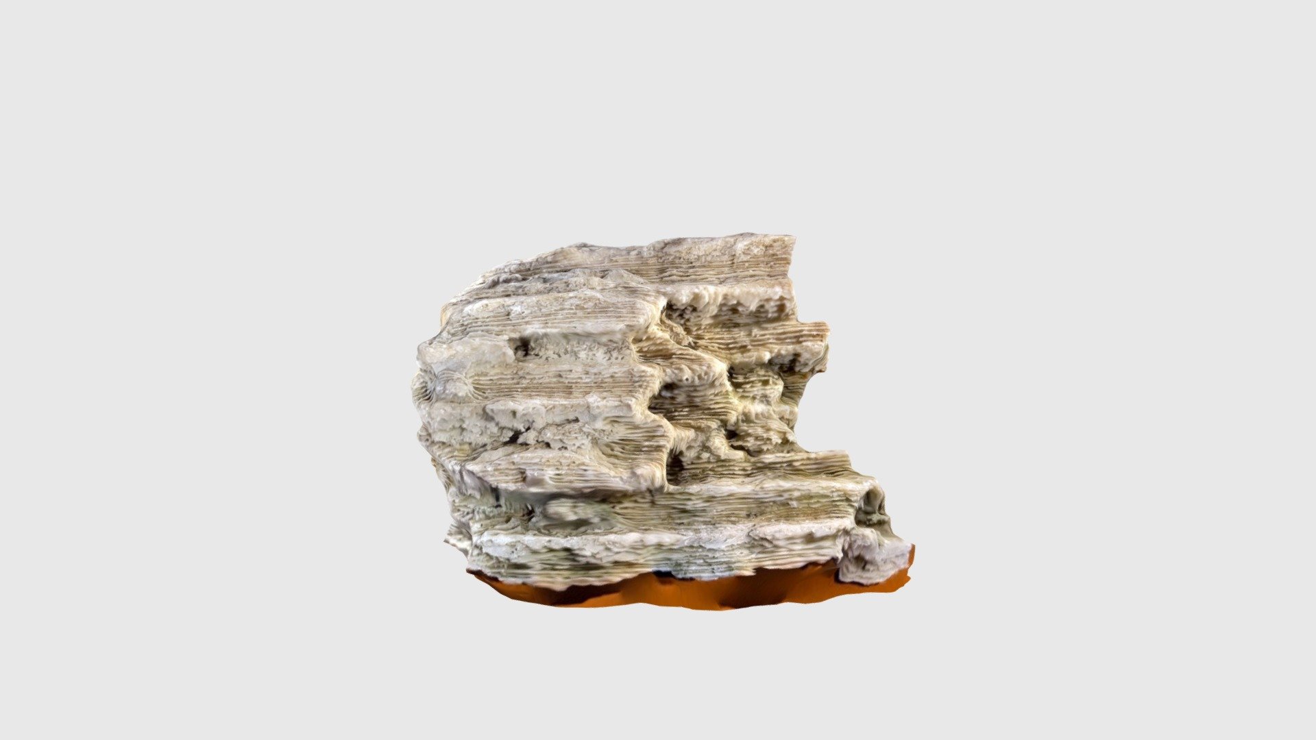 Recrystallized coral