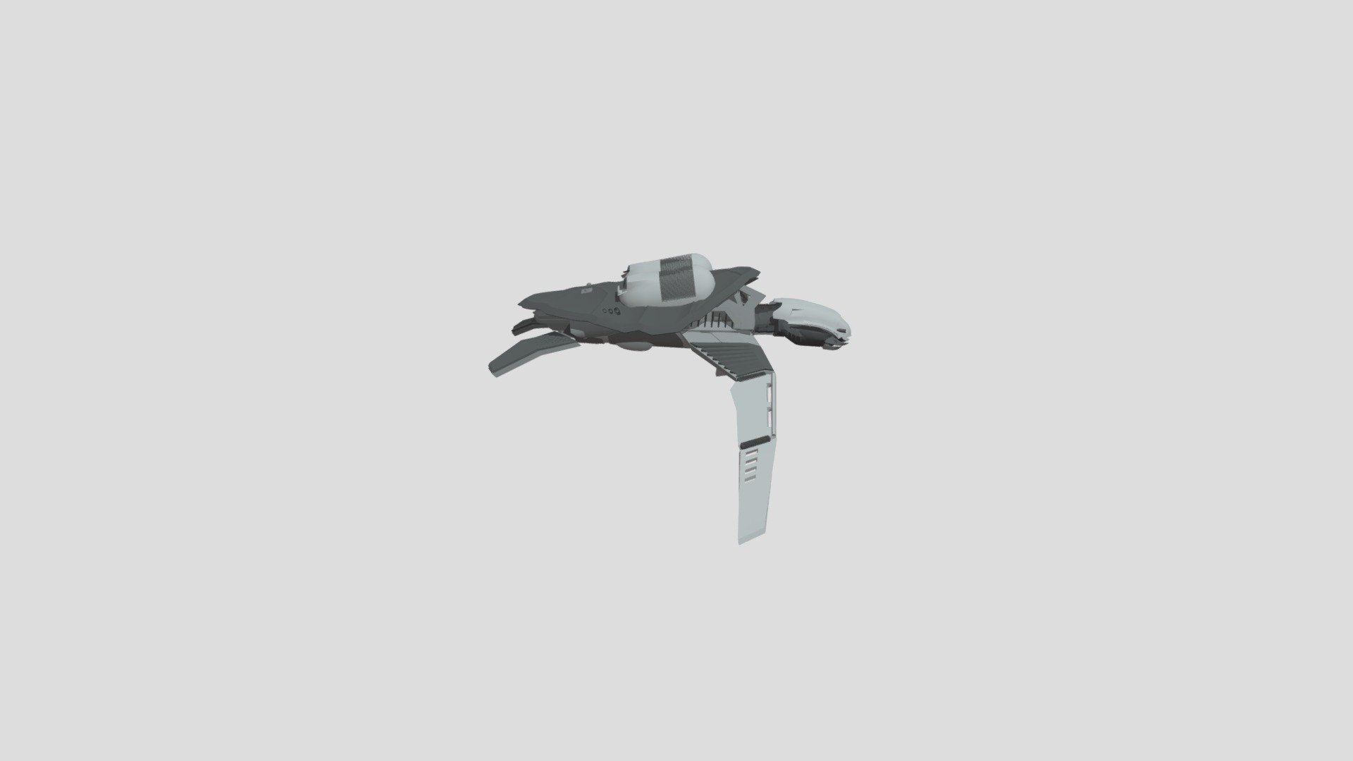 Turtle 01