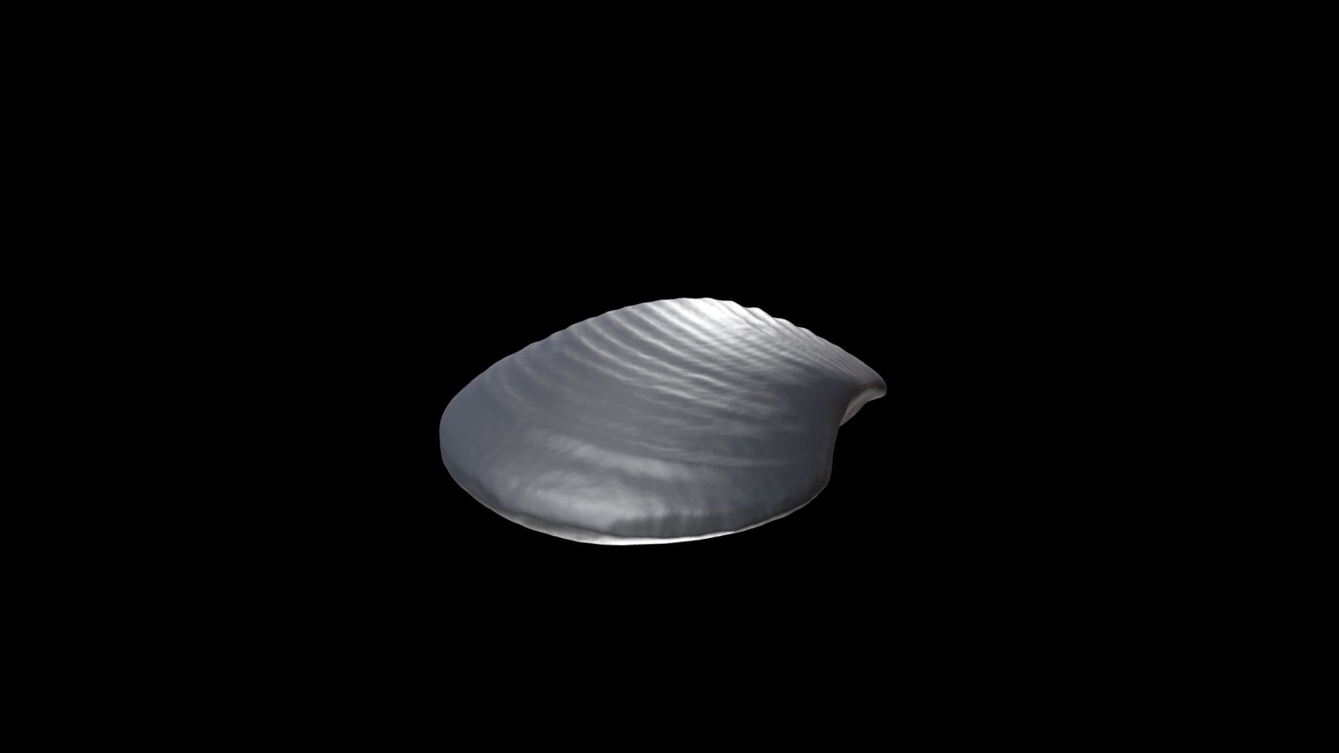 Astarte undulata