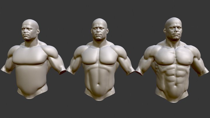 Sculpt Steps - Male Torso Anatomy 3D Model