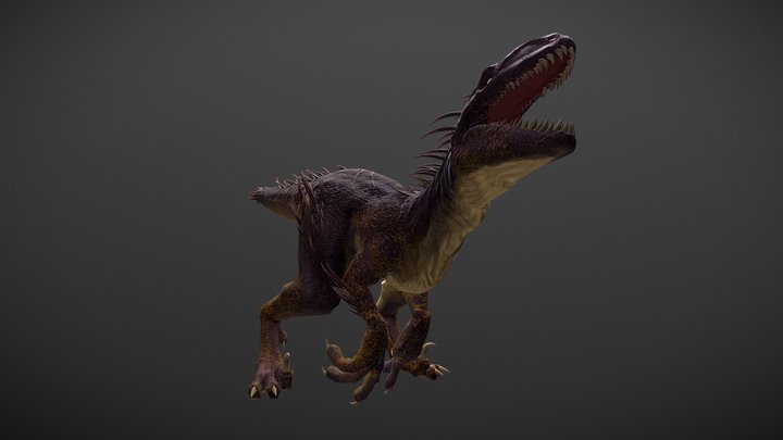 Quill Raptor 3D Model