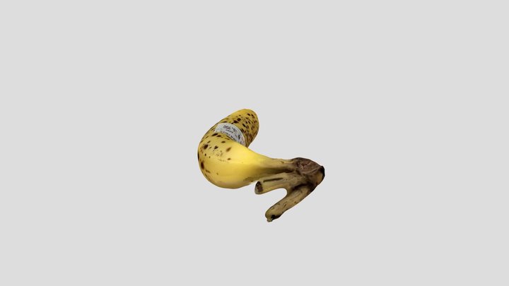New Qlone 3D Model