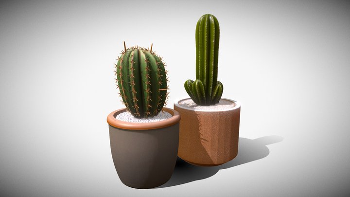 Pachycereus pecten-aboriginum – Modello 3D gratuito STL