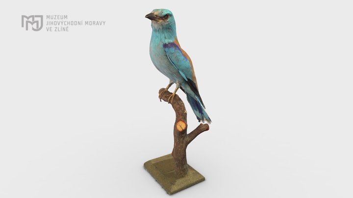 ZA253111#02 3D Model