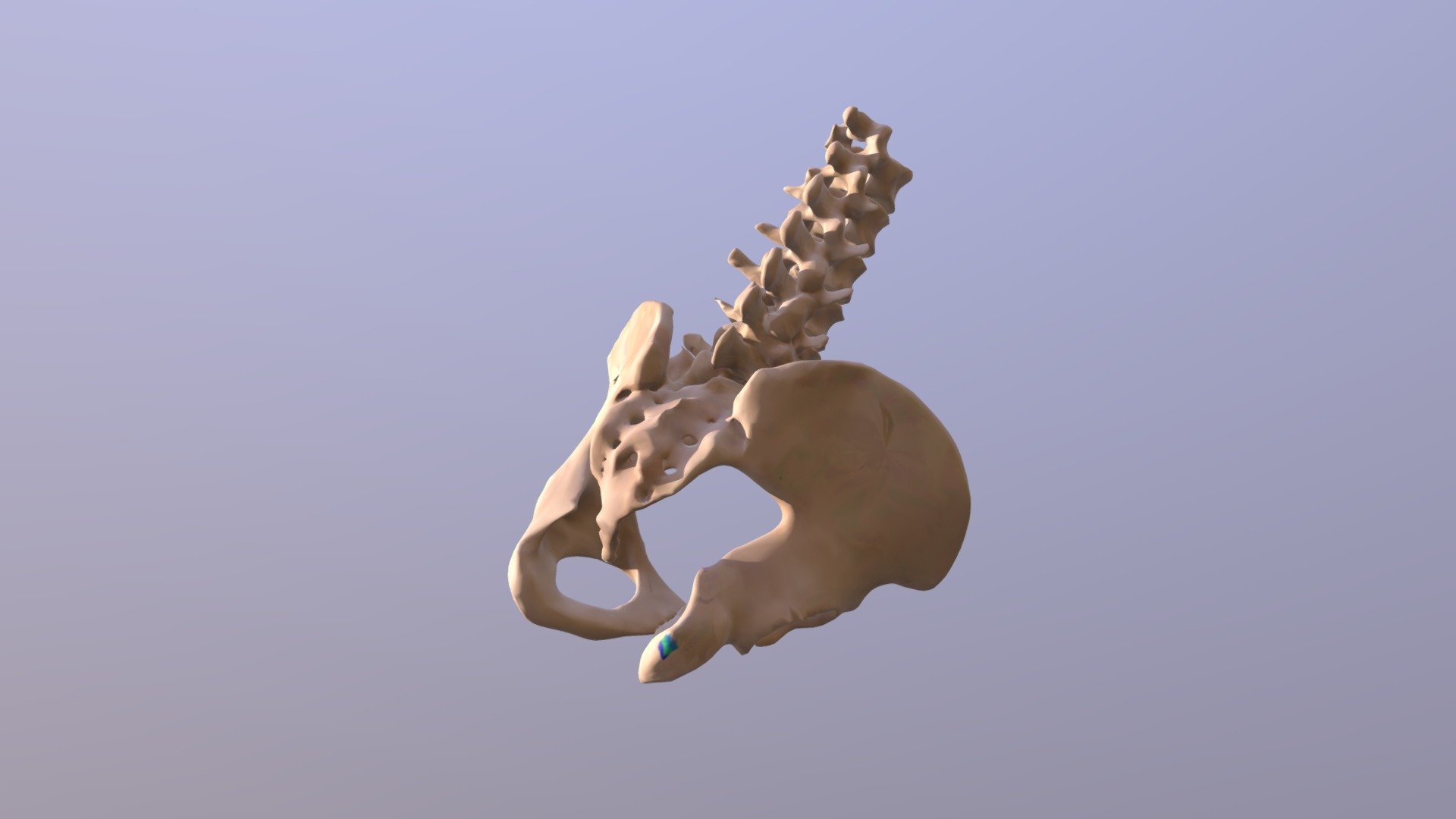 Knee Lateral Rotation_Turquoise