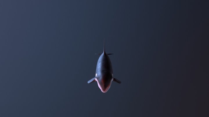 Killer While 3D Model