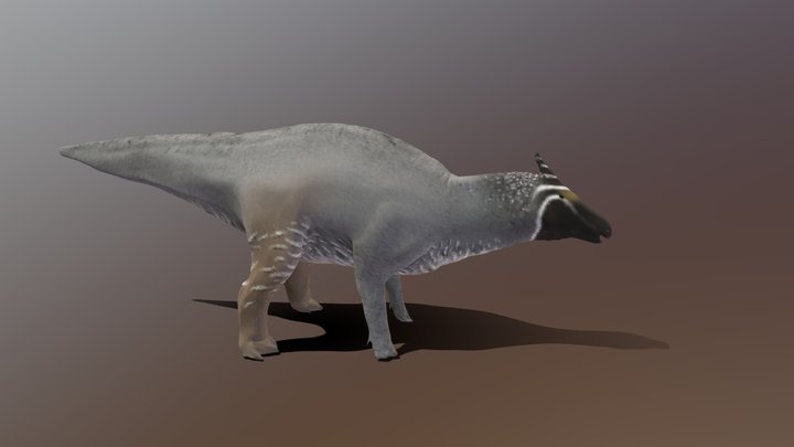 Augustynolophus Dinosaur 3D Model