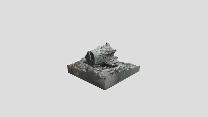 Old stump 3D Model