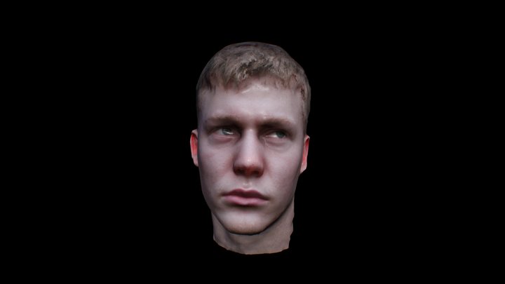 Male photoscanned head 3D Model