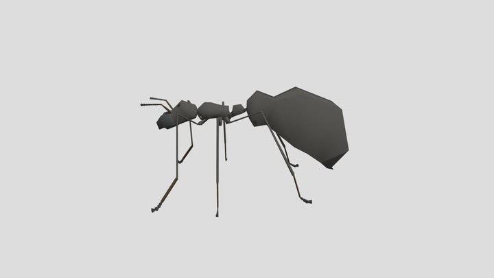 Ant 1 3D Model