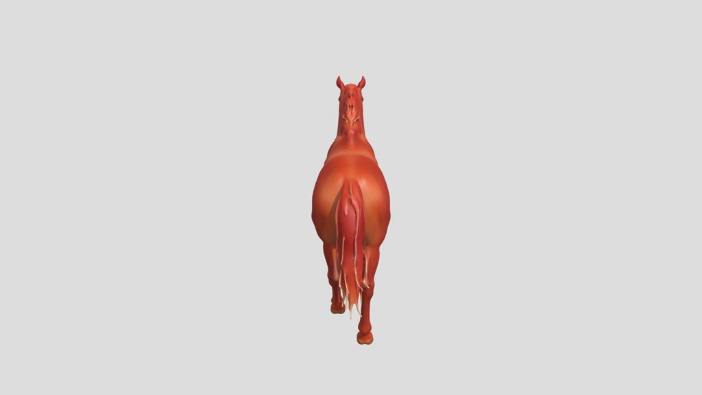 Horse 03a Hua2 23912de3
