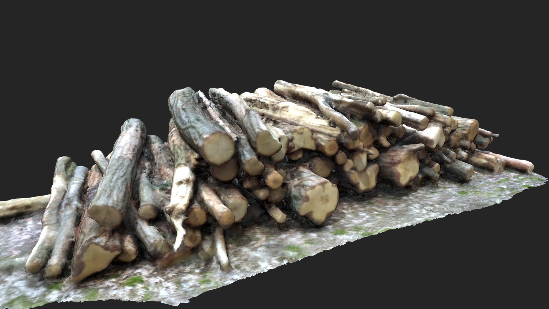 Wood Logs - Google Tango 3D Scan