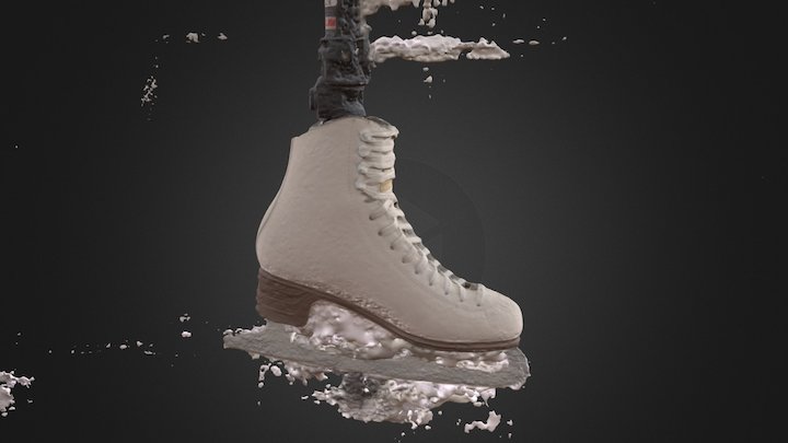 Ice Skate, Left, Treated 3D Model