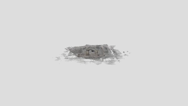 Archeology Group1 Densified Point Cloud 3D Model