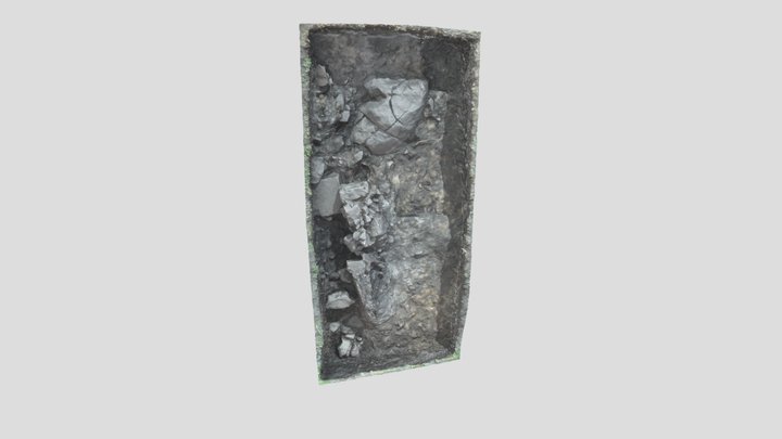 Dundonald Trench 7 3D Model