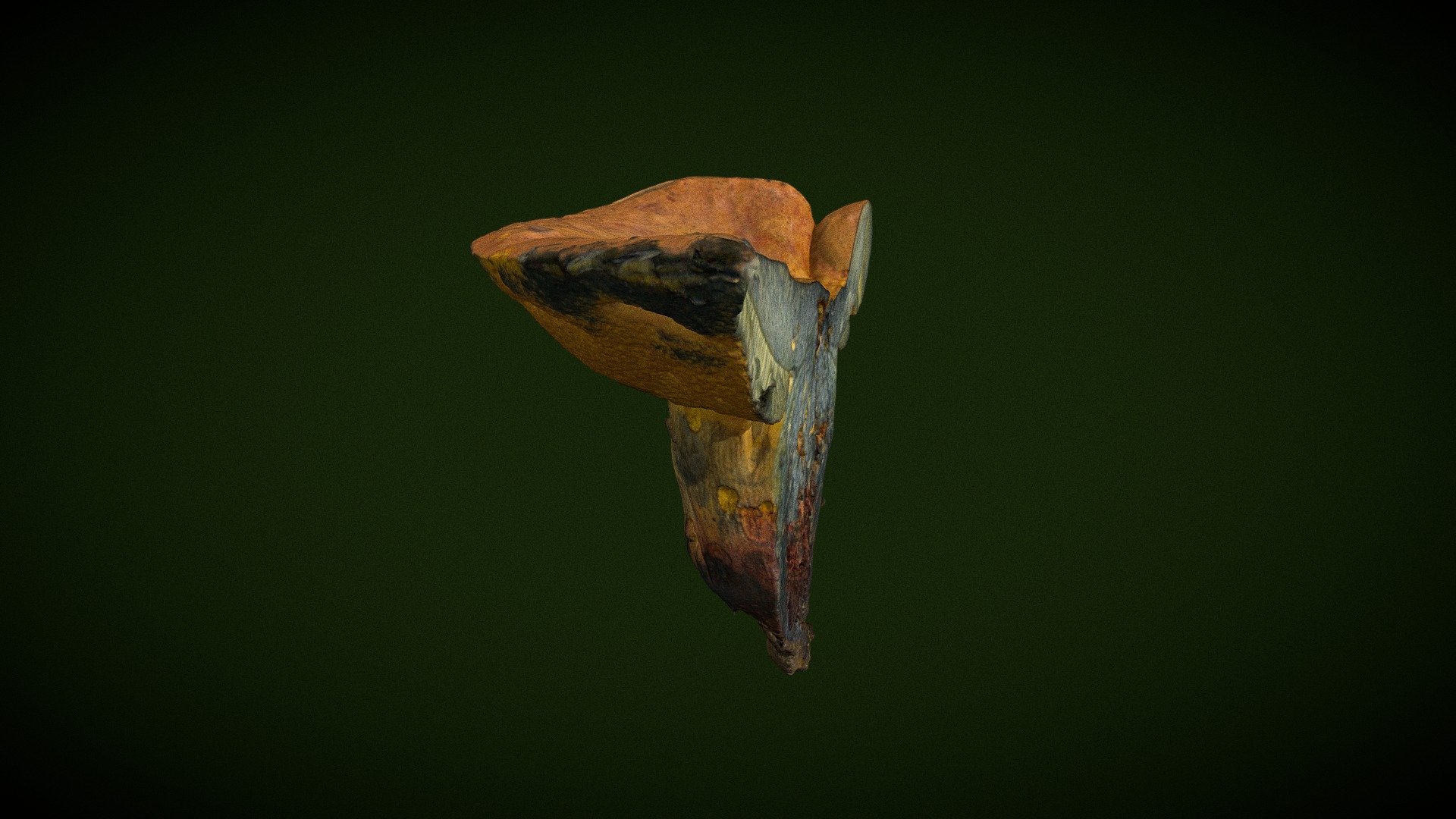 Real Fungus Scan 3D - Suillellus queletii