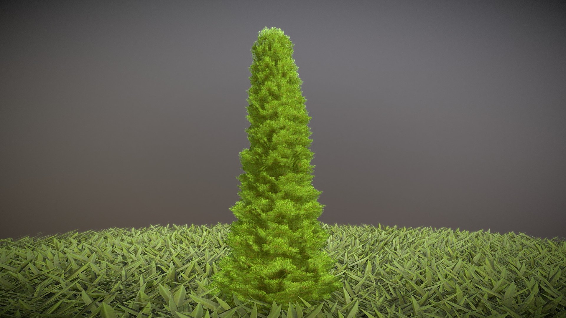 Cypress - Version 1 - ½ Meter
